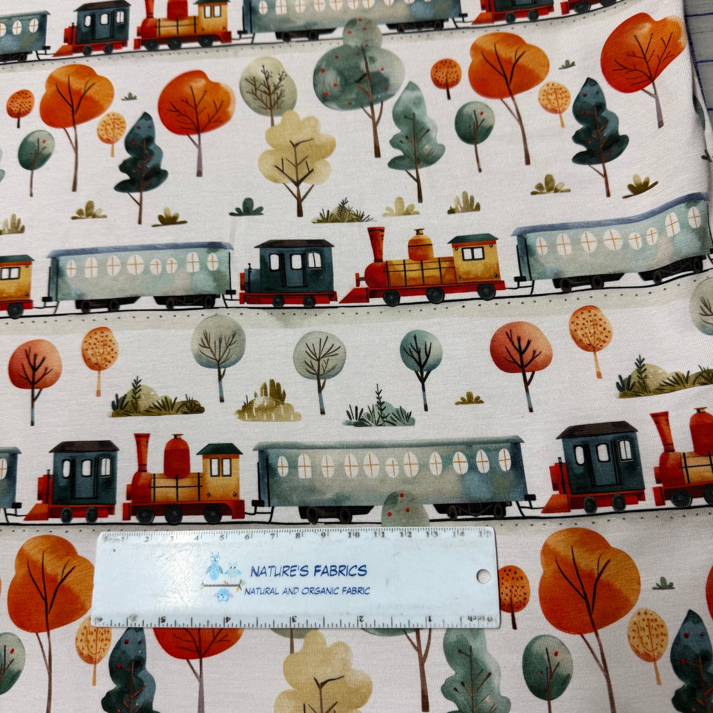 Fall Foliage Train Excursion on Bamboo/Spandex Jersey Fabric