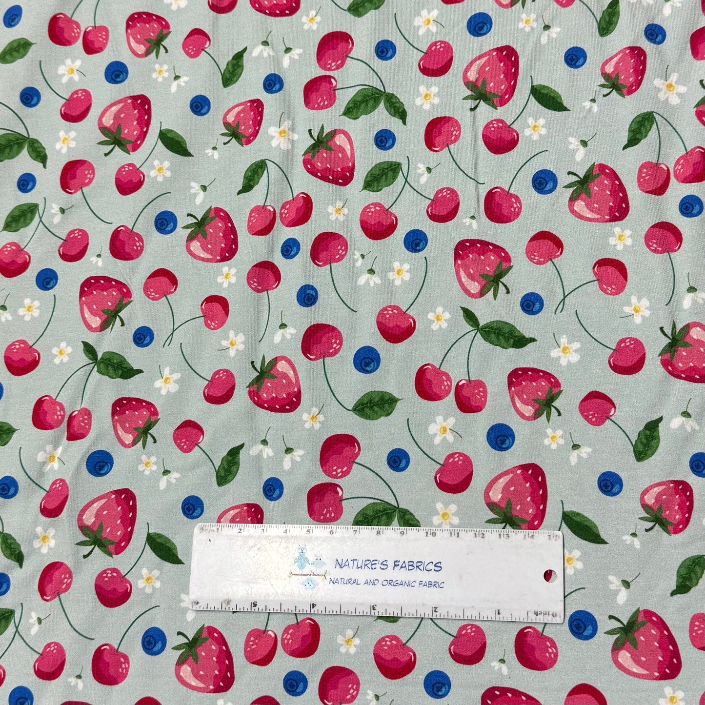 Berries on Mint on Bamboo Stretch French Terry Fabric