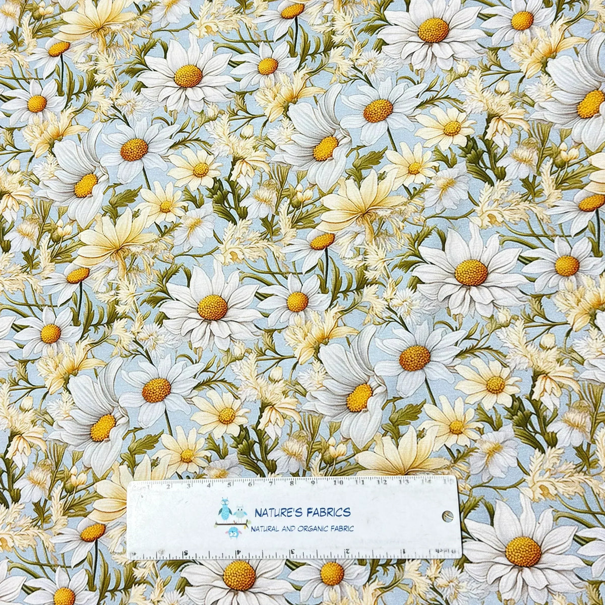 Daisy floral print fabric by Nature's Fabrics, organic cotton with white and yellow flowers on light blue background