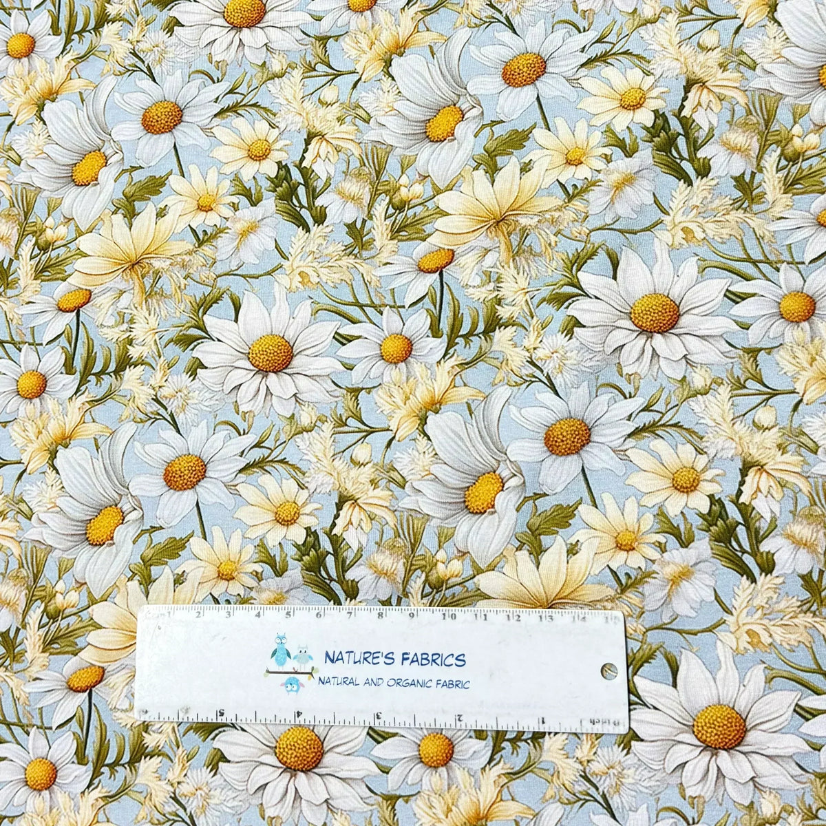 Daisy floral print fabric by Nature's Fabrics, organic cotton with white flowers and green leaves on light blue background