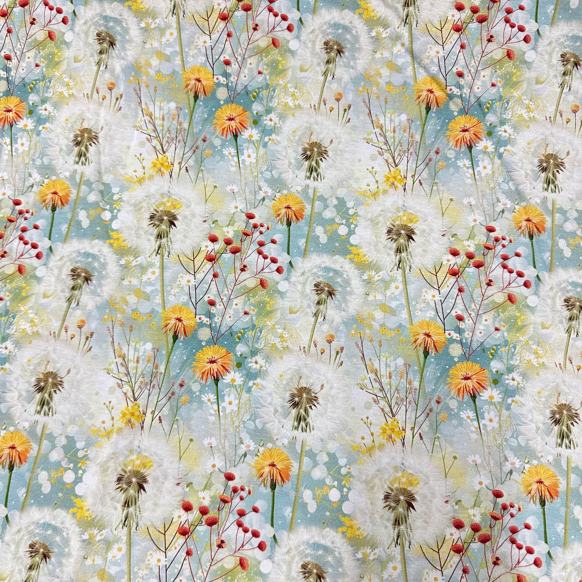Dandelion Field on Bamboo/Spandex Jersey Fabric - Nature's Fabrics