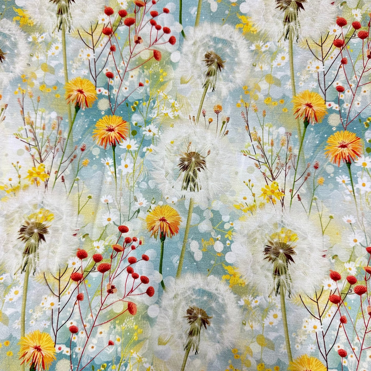 Dandelion Field on Bamboo/Spandex Jersey Fabric - Nature's Fabrics