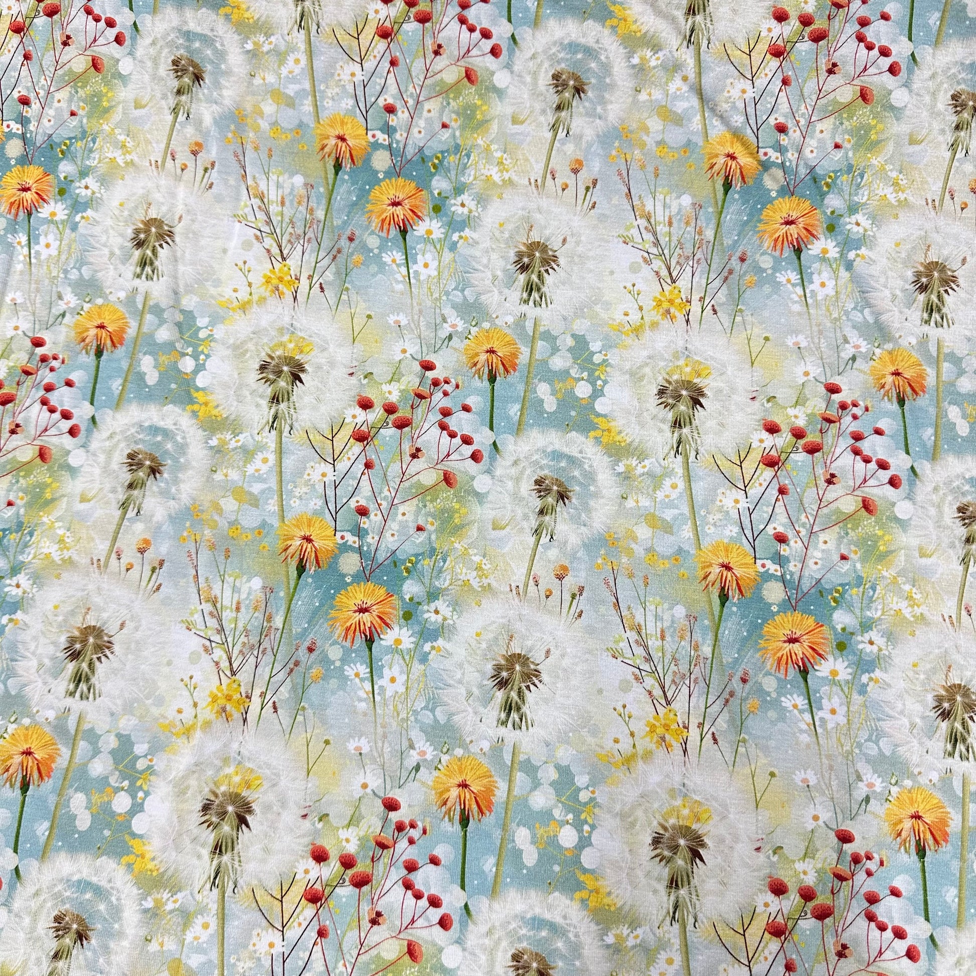 Dandelion Field on Bamboo/Spandex Jersey Fabric - Nature's Fabrics