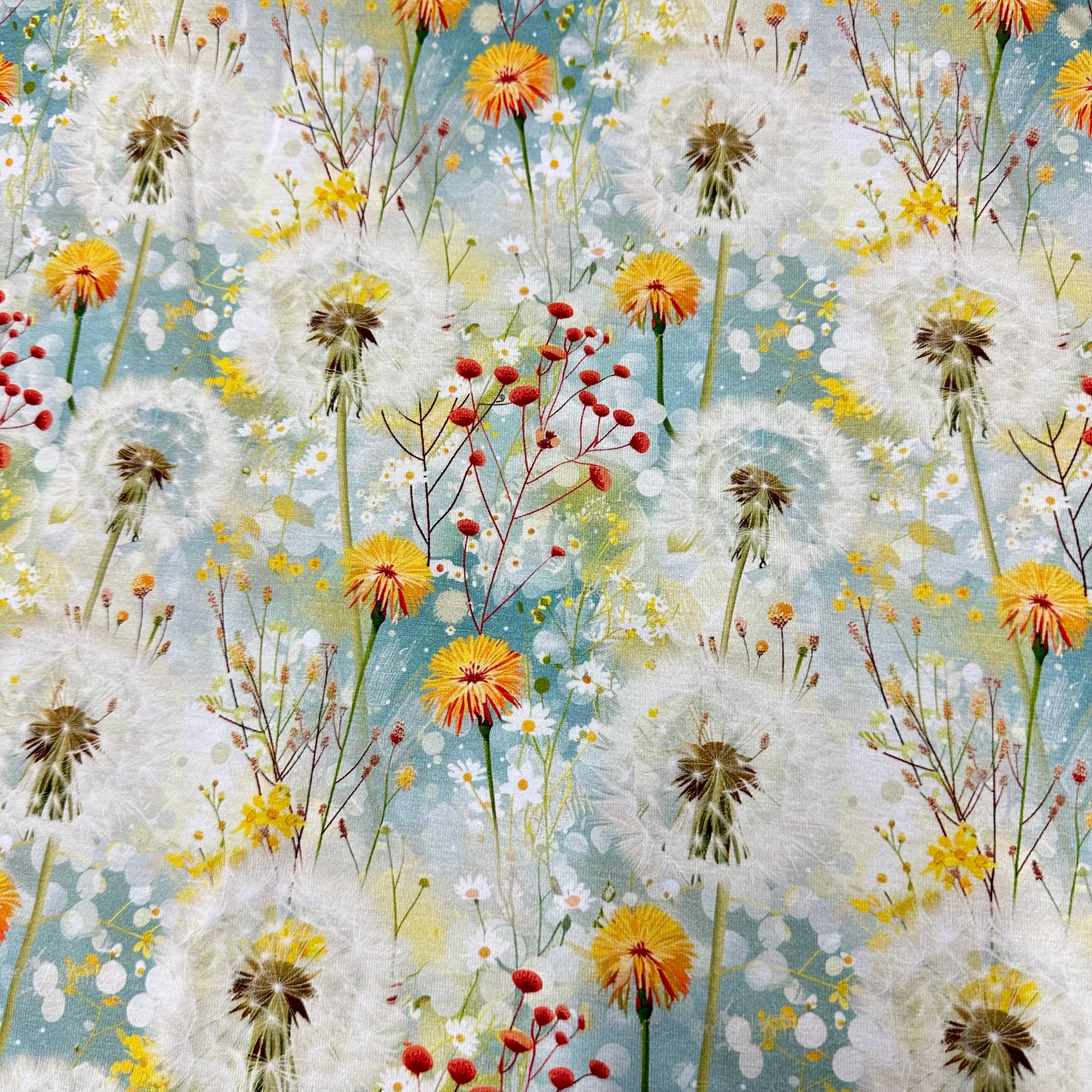Dandelion Field on Bamboo/Spandex Jersey Fabric - Nature's Fabrics