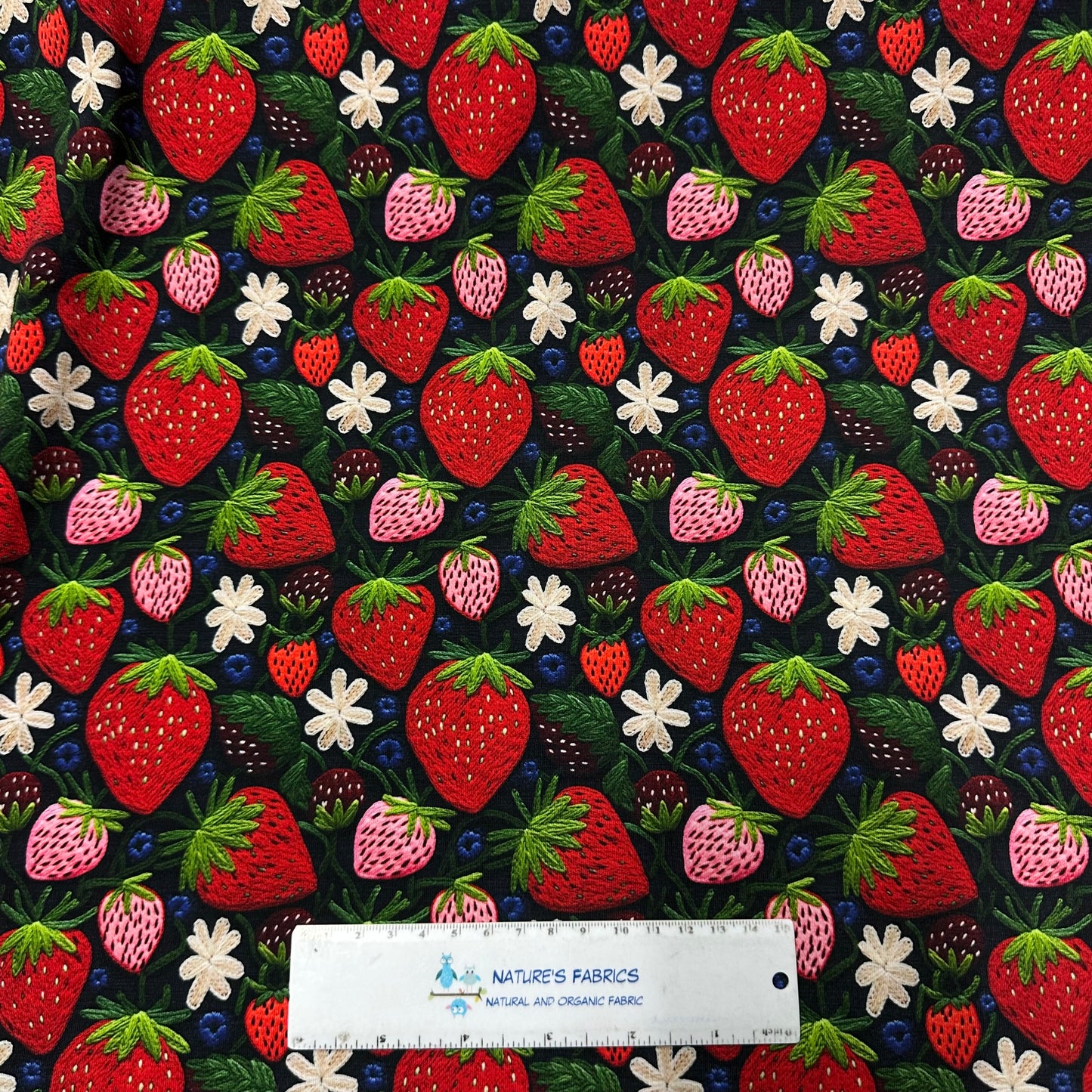 Embroidered Strawberries on Bamboo/Spandex Jersey Fabric - Nature's Fabrics