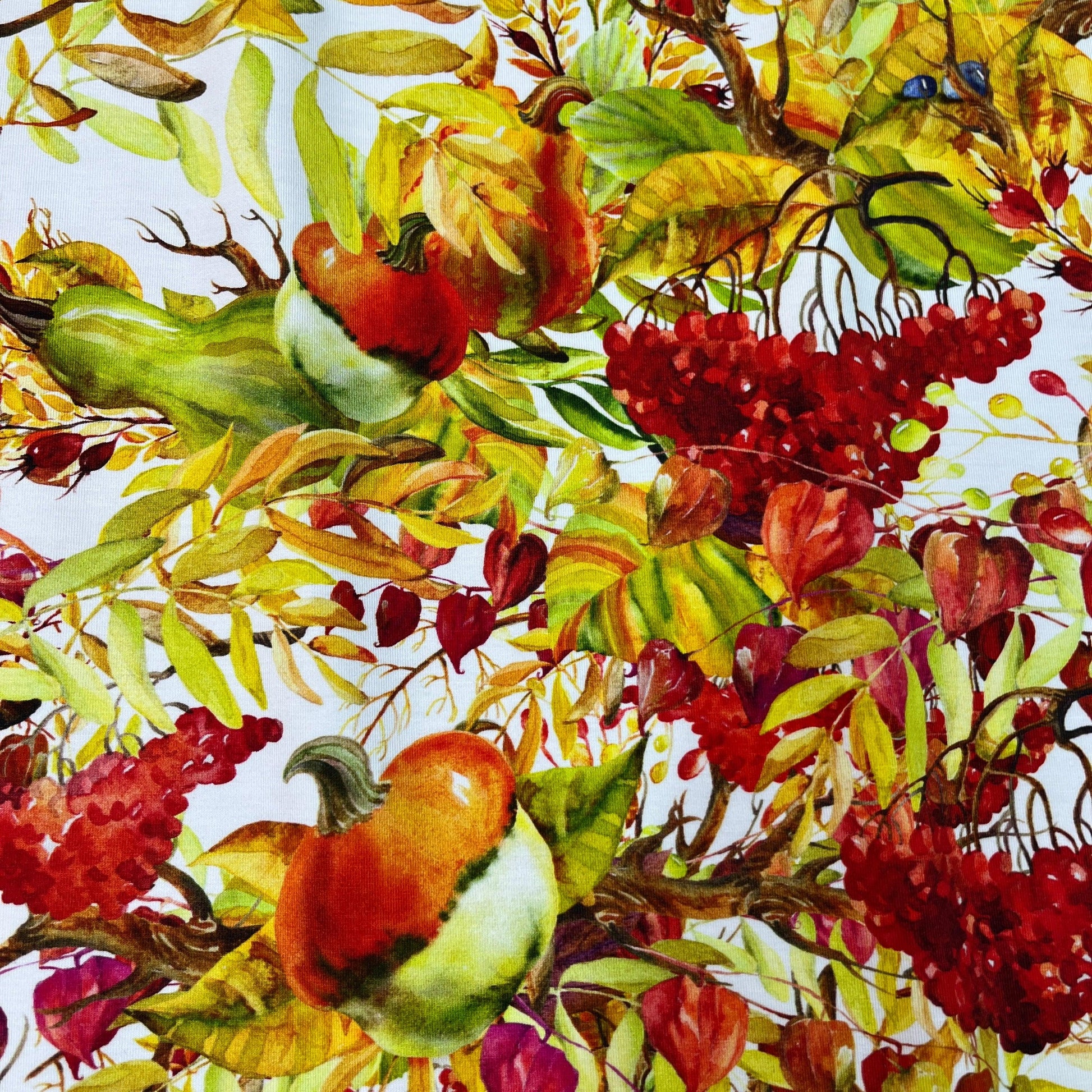 Fall Berries on Bamboo/Spandex Jersey Fabric - Nature's Fabrics
