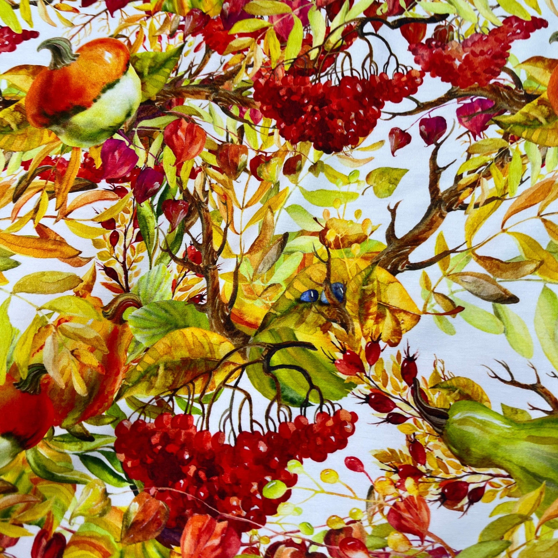 Fall Berries on Bamboo/Spandex Jersey Fabric - Nature's Fabrics