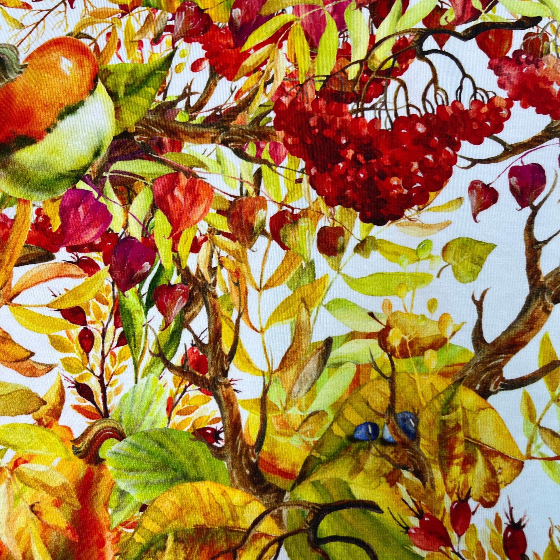 Fall Berries on Bamboo/Spandex Jersey Fabric - Nature's Fabrics