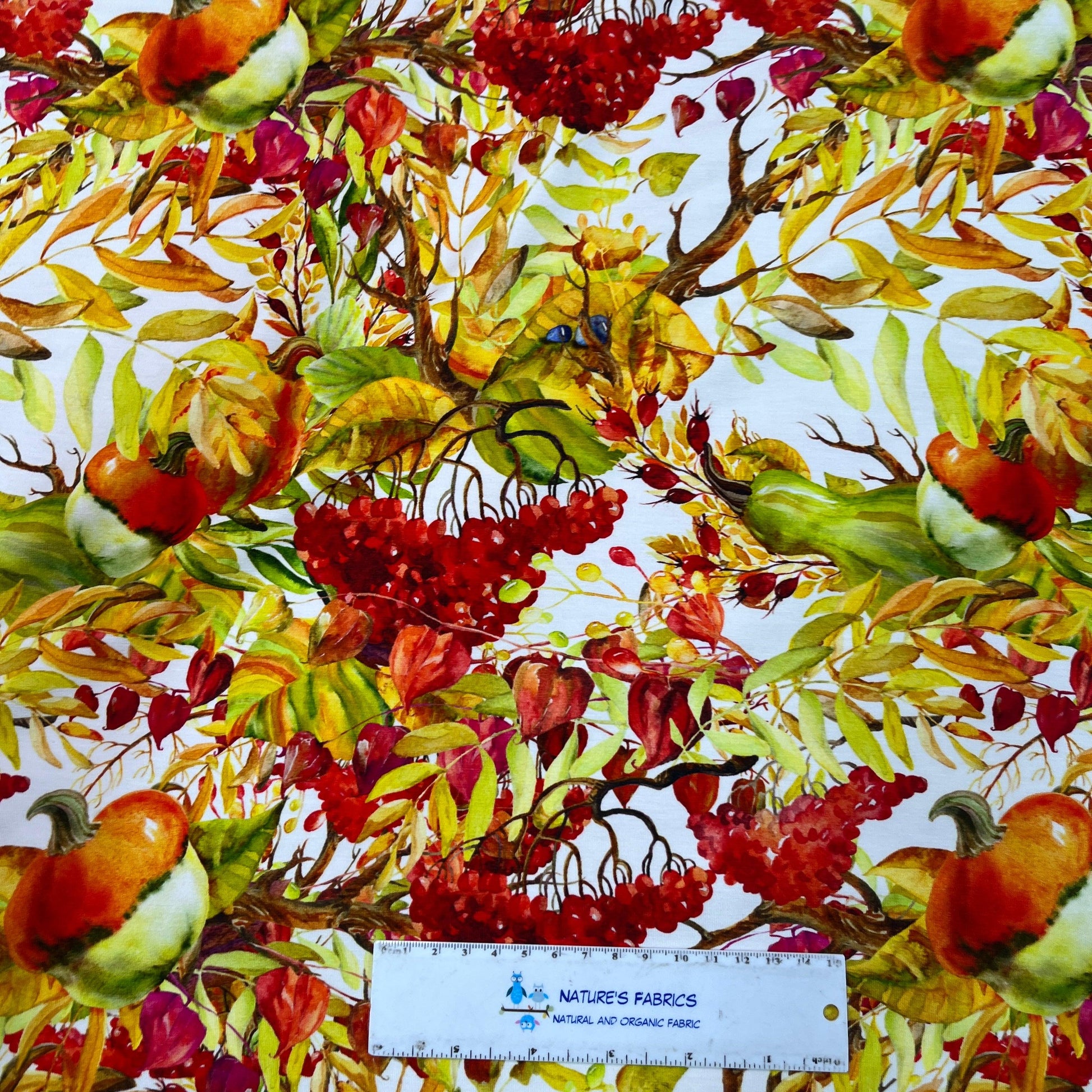 Fall Berries on Bamboo/Spandex Jersey Fabric - Nature's Fabrics