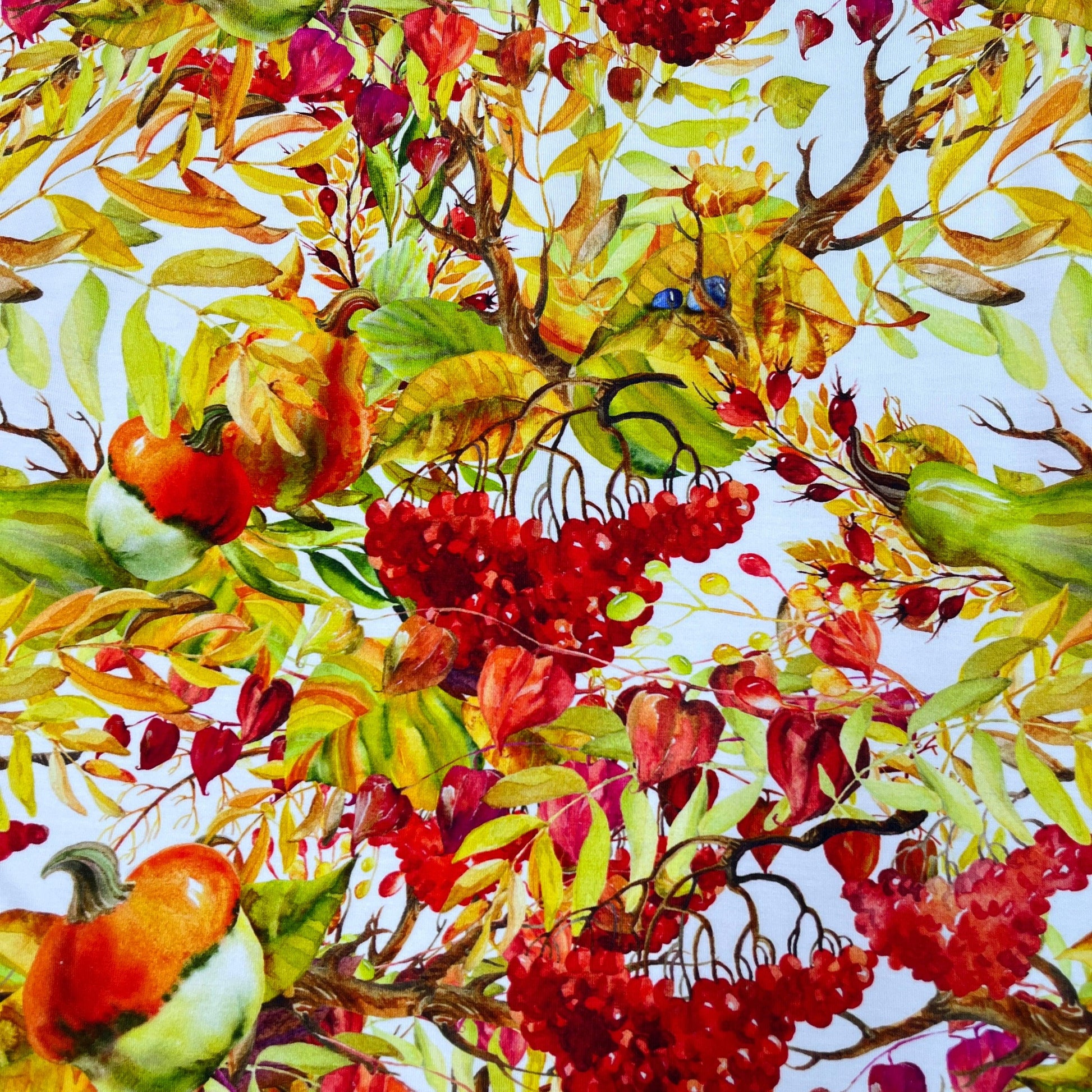 Fall Berries on Bamboo/Spandex Jersey Fabric - Nature's Fabrics