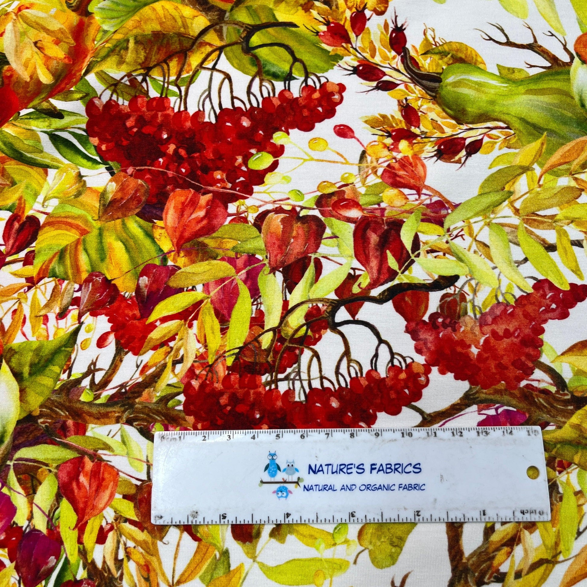 Fall Berries on Bamboo/Spandex Jersey Fabric - Nature's Fabrics