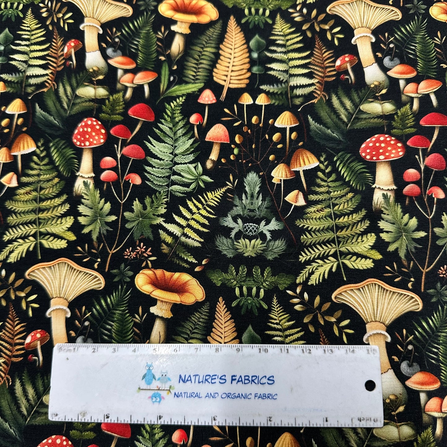 Ferns and Mushrooms on Bamboo/Spandex Jersey Fabrics - Nature's Fabrics