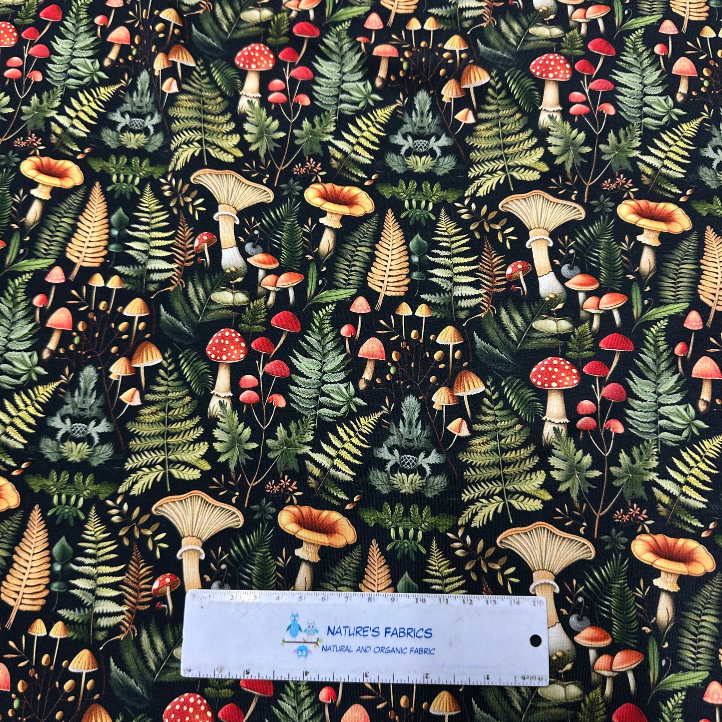 Ferns and Mushrooms on Bamboo/Spandex Jersey Fabrics - Nature's Fabrics