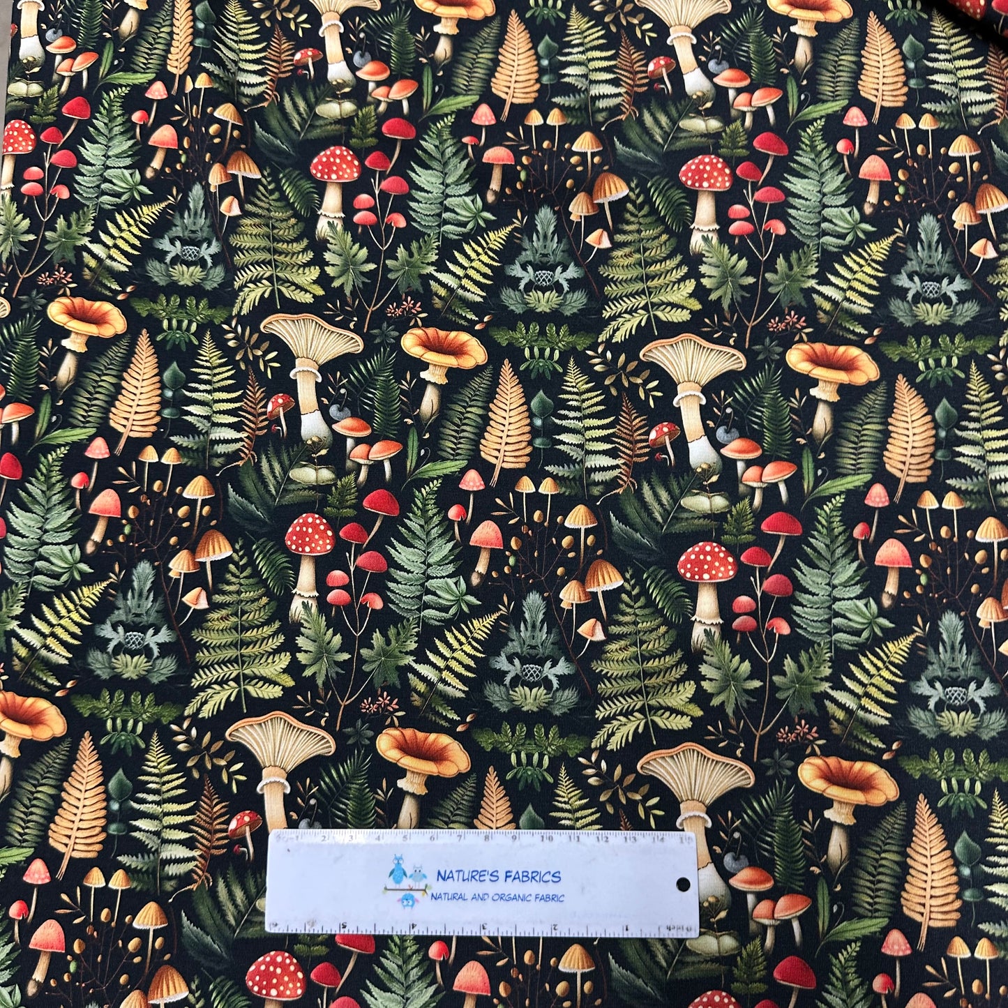 Ferns and Mushrooms on Bamboo/Spandex Jersey Fabrics - Nature's Fabrics