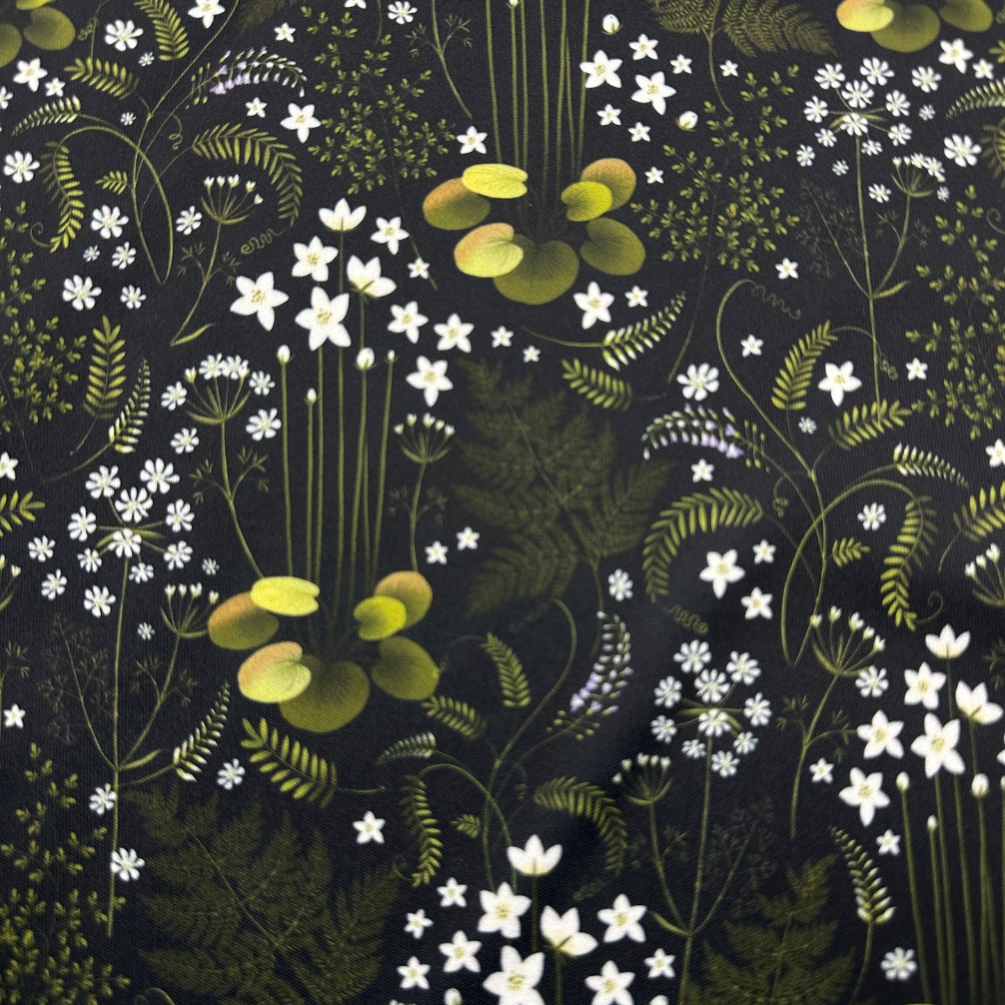 Ferns on Black 1 mil PUL Fabric - Made in the USA - Nature's Fabrics