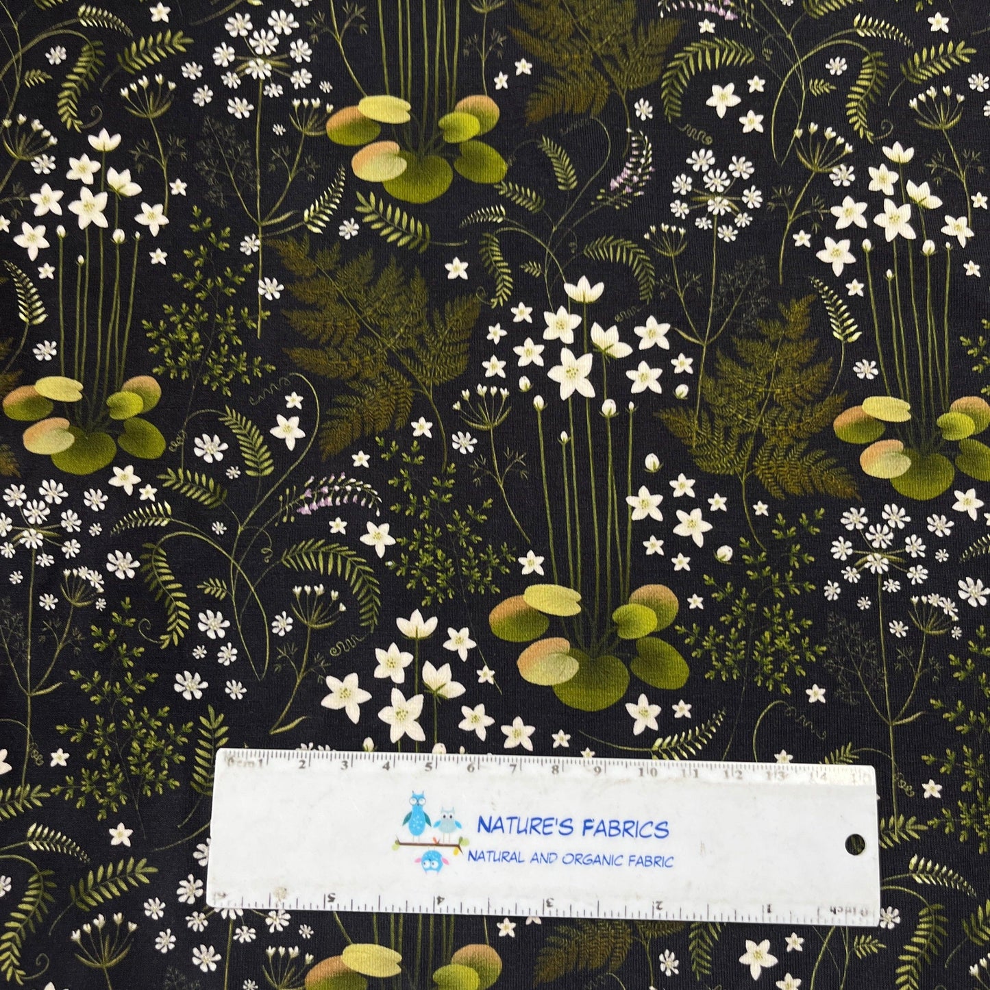 Ferns on Black Bamboo/Spandex Jersey Fabric - Nature's Fabrics