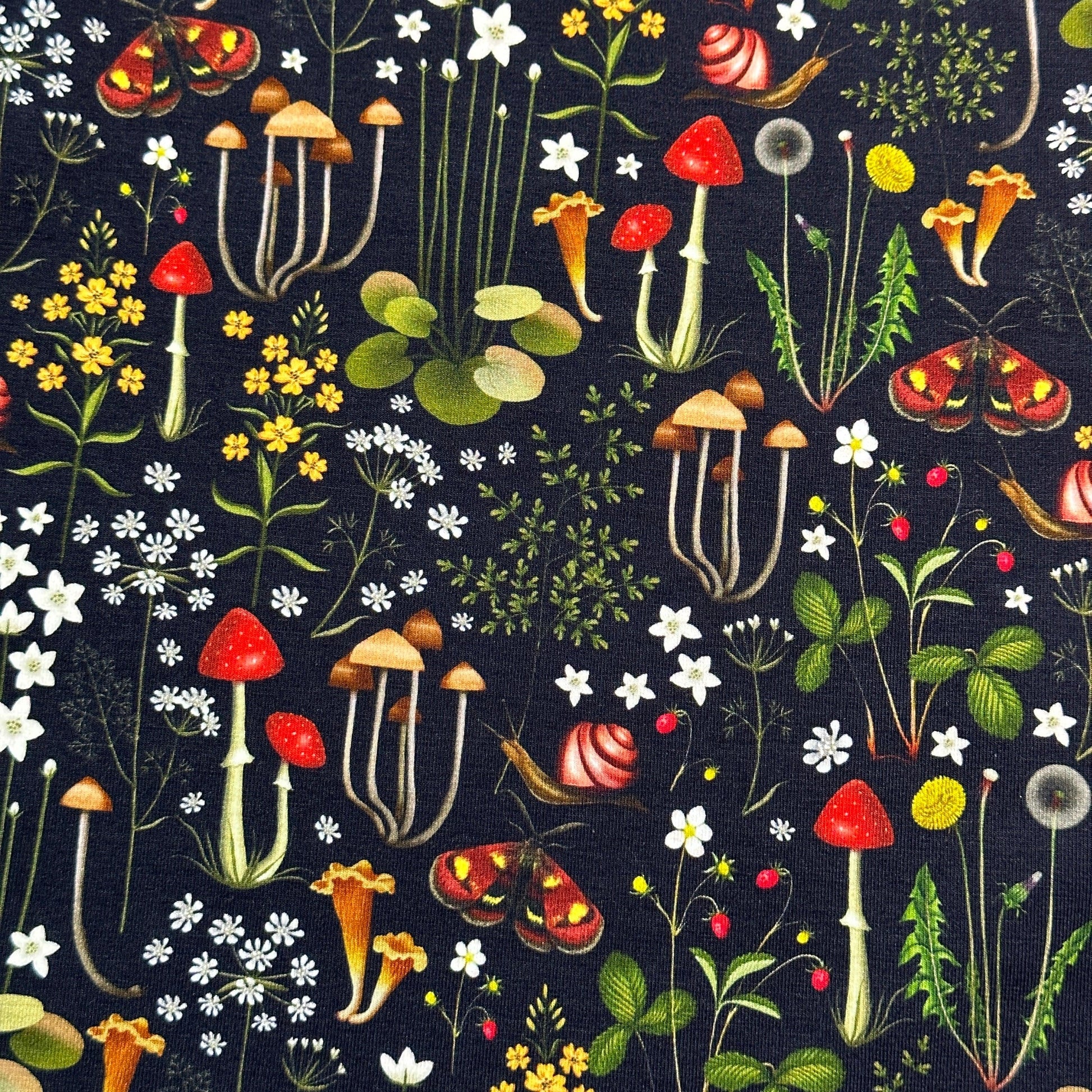 Forest Floral on Black Organic Cotton/Spandex Jersey Fabric - Nature's Fabrics