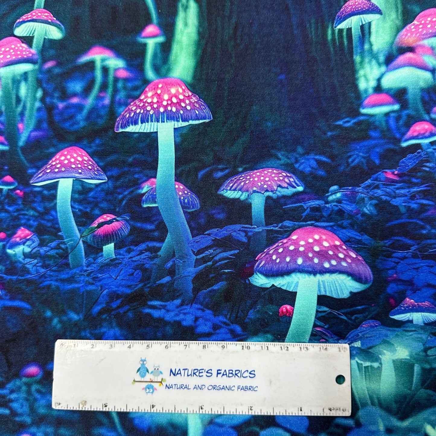 Luminescent Mushrooms on Bamboo Stretch French Terry Fabric - Nature's Fabrics