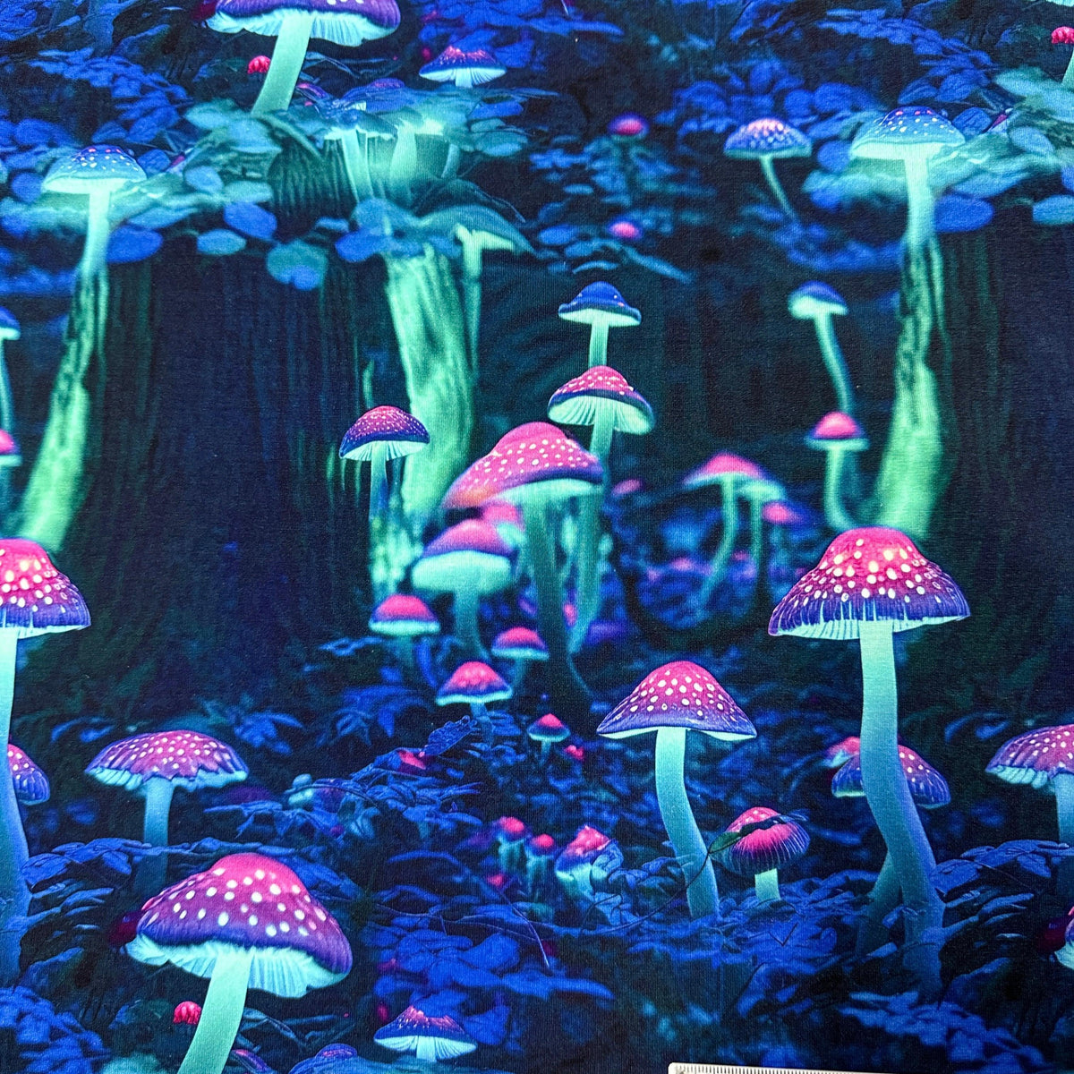 Luminescent Mushrooms on Bamboo Stretch French Terry Fabric - Nature's Fabrics