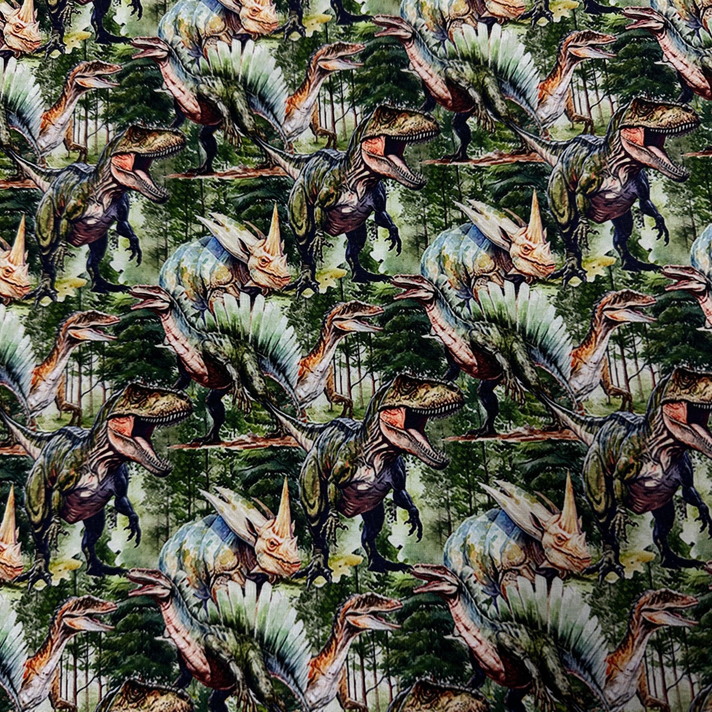 Real Dinos on Organic Cotton/Spandex Jersey Fabric - Nature's Fabrics