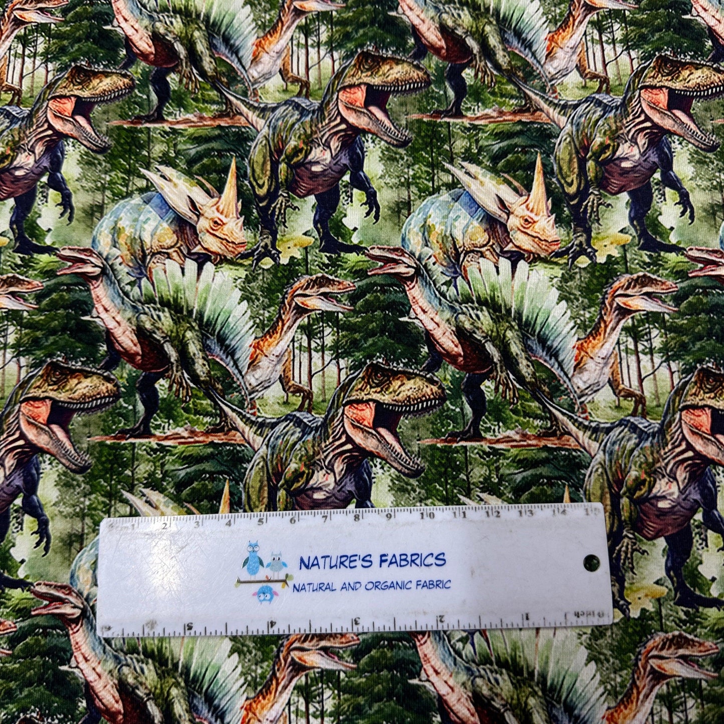 Real Dinos on Organic Cotton/Spandex Jersey Fabric - Nature's Fabrics