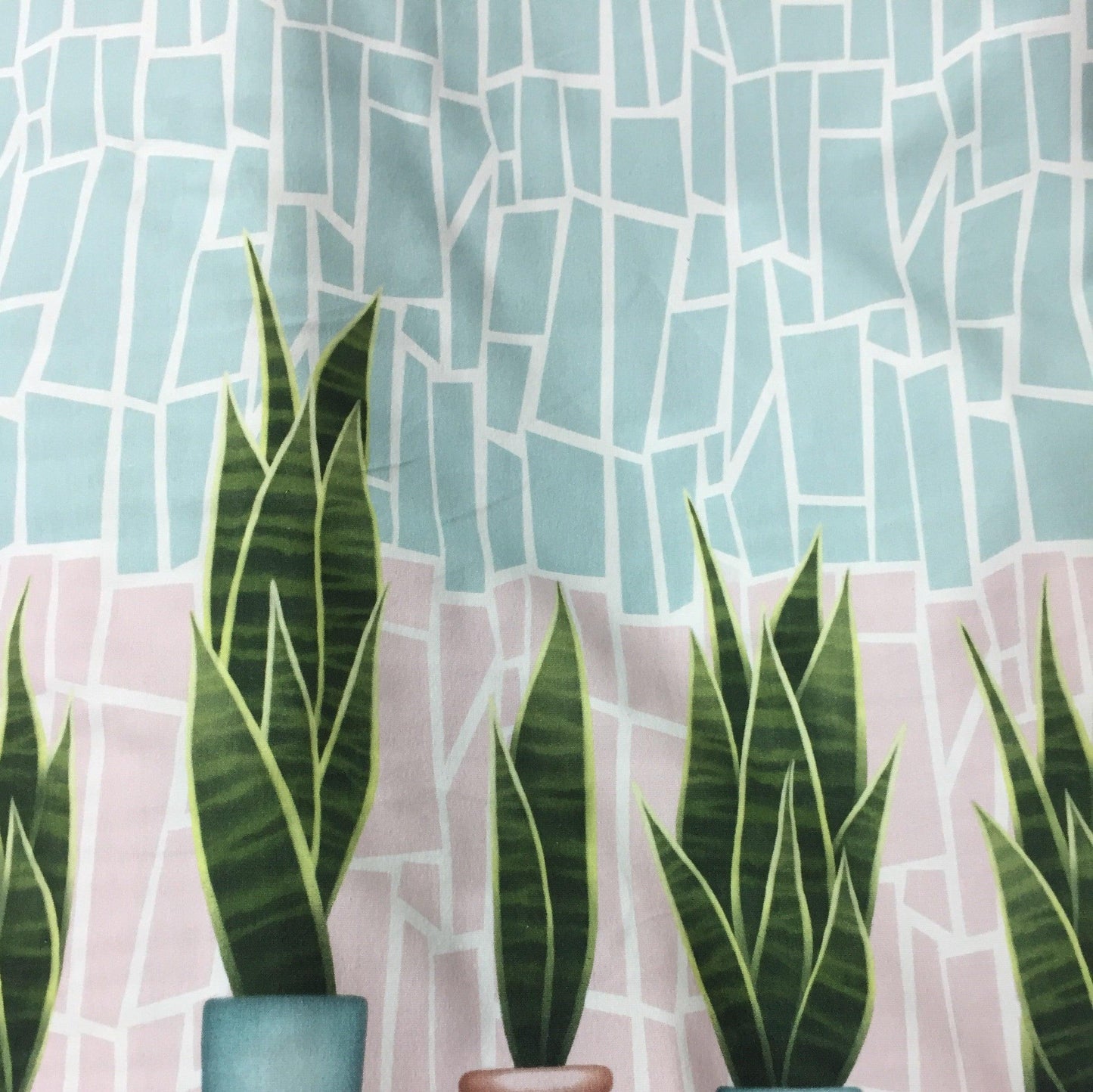Cactus on Organic Cotton/Spandex Jersey Fabric - 25" x 30" Panel - Nature's Fabrics