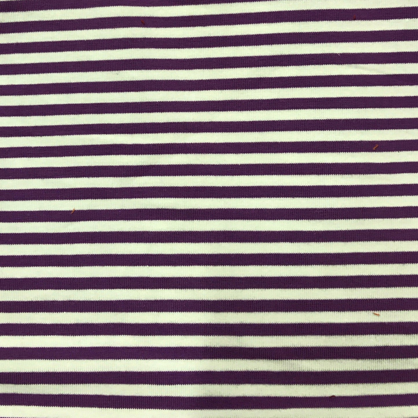 Purple and White 1/8" Stripes on Cotton/Spandex Jersey Fabric - Nature's Fabrics