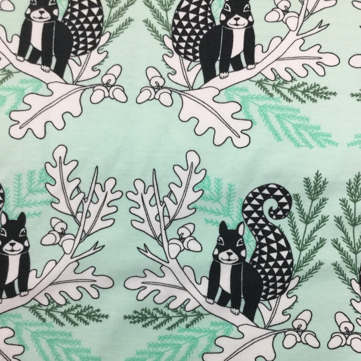 Squirrels on Green Organic Cotton/Spandex Jersey Fabric - Nature's Fabrics