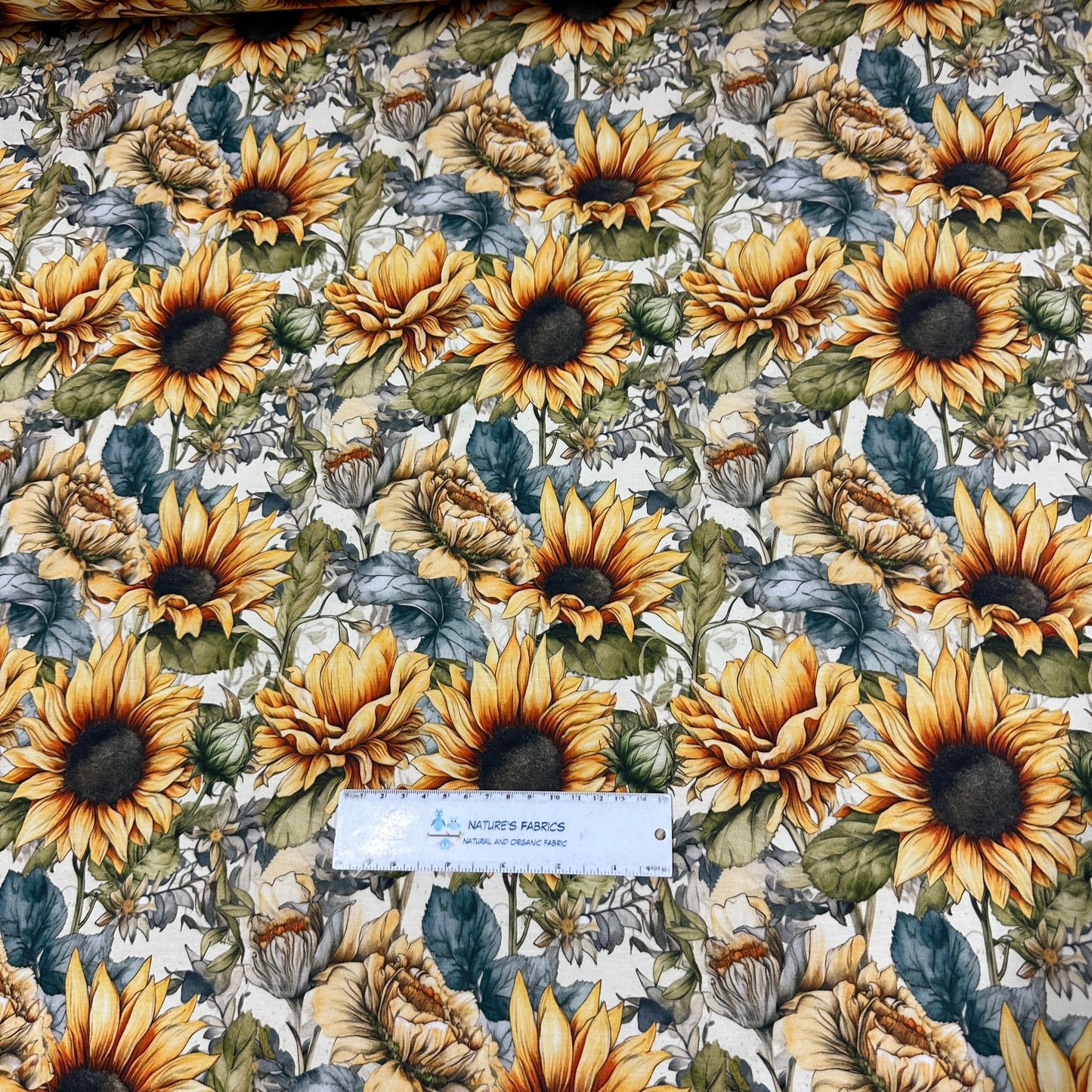 Sketched Sunflowers on Bamboo/Spandex Jersey Fabric