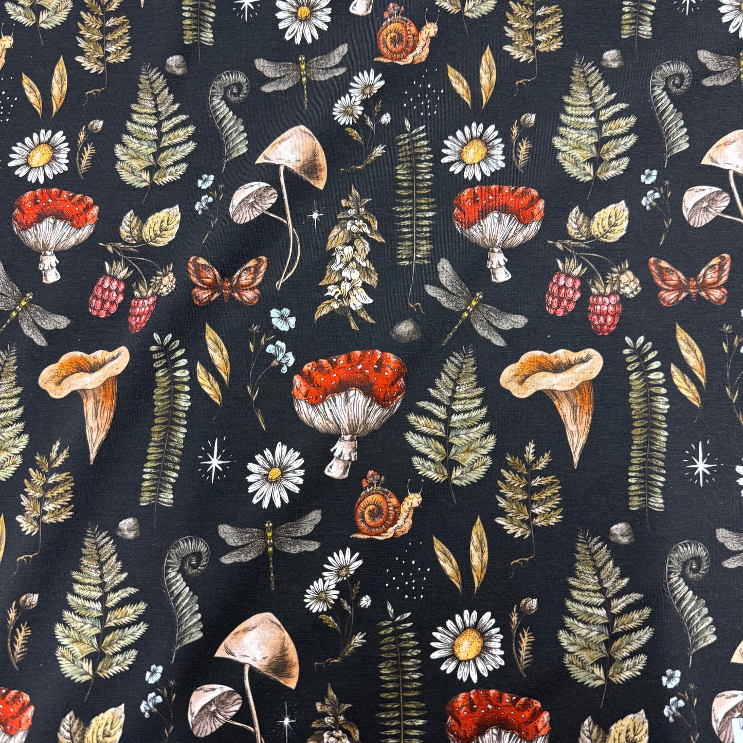 Flora and Fauna on Black Bamboo/Spandex Jersey Fabric