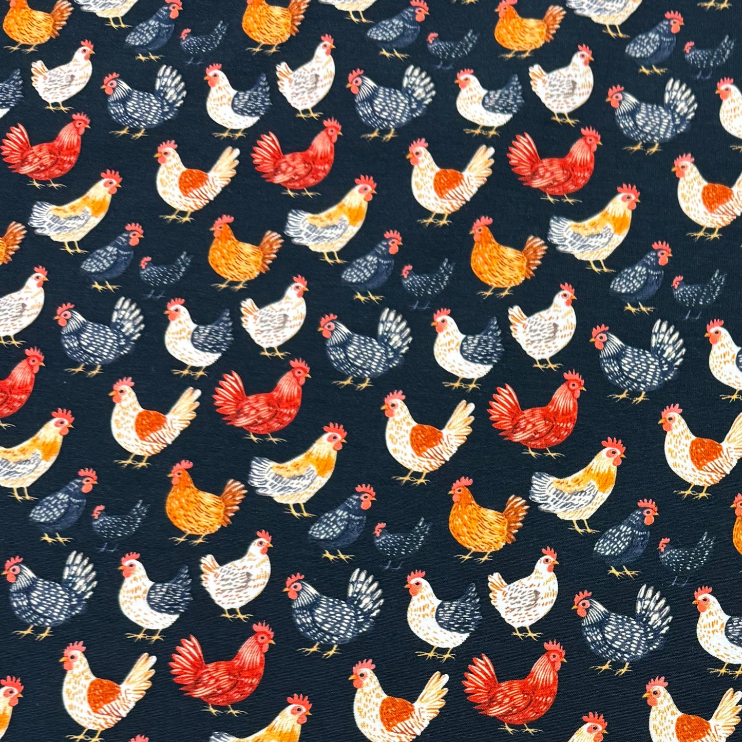 Chickens on Black Organic Cotton/Spandex Jersey Fabric
