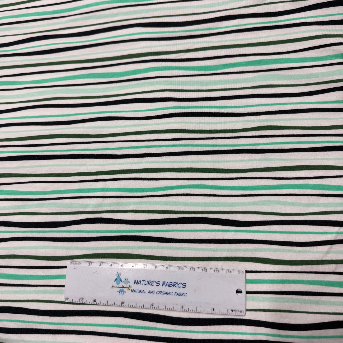 Green Shell Stripe on Cotton/Spandex Jersey Fabric