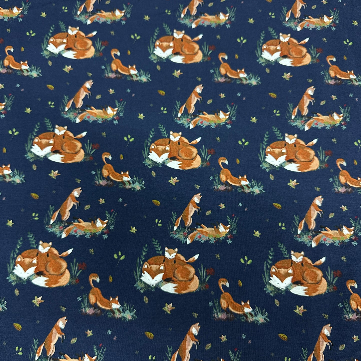 Playful Foxes on Bamboo/Spandex Jersey Fabric