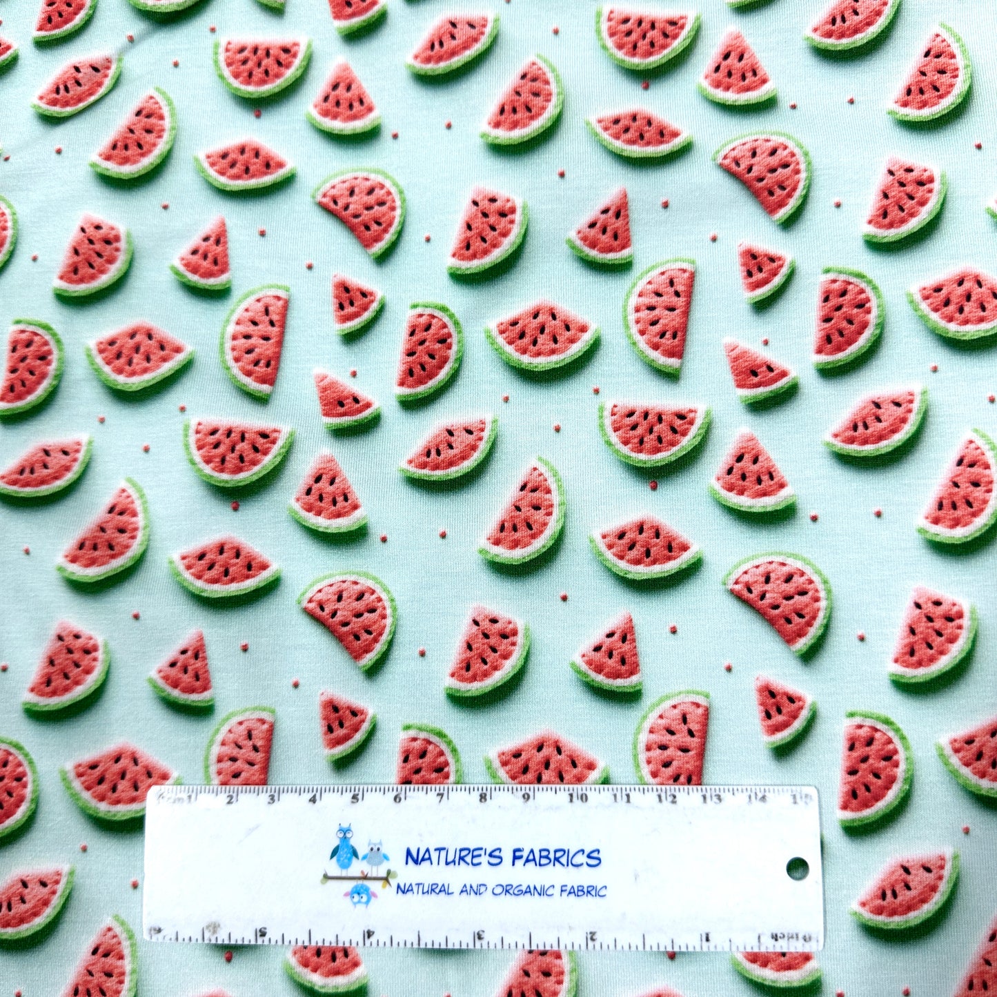 Watermelon Slices Bamboo/Spandex Jersey Fabric