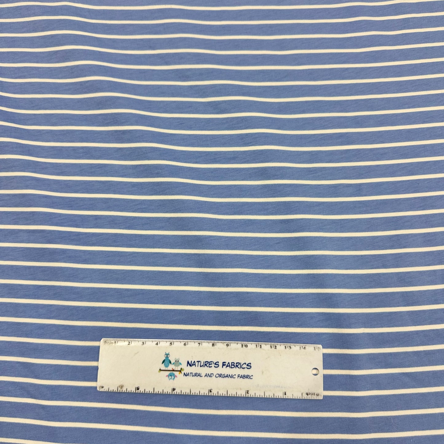 Blue and Off White Stripes on Supima Cotton/Spandex Jersey Fabric