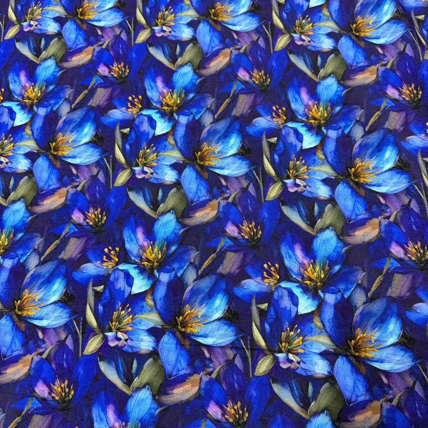Sapphire Gentians on Organic Cotton Stretch French Terry Fabric