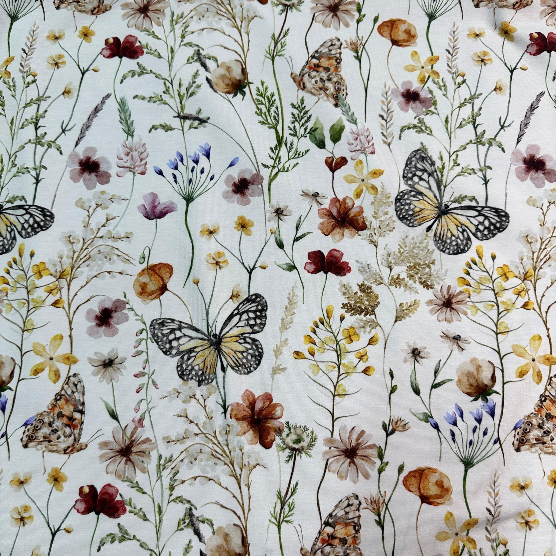 Butterfly Field on Organic Cotton/Spandex Jersey Fabric - Nature's Fabrics
