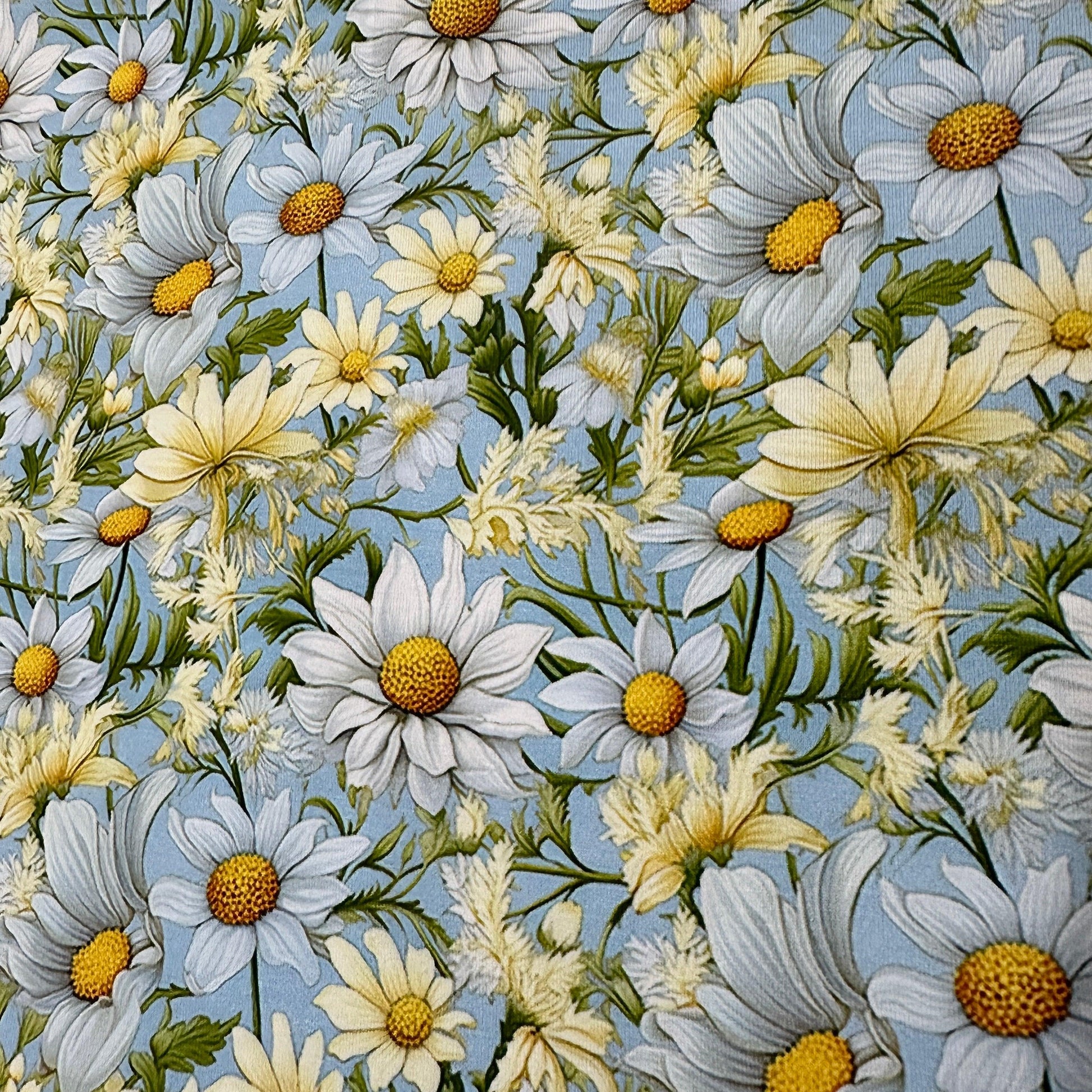 Daisies on Light Blue Organic Cotton/Spandex Jersey Fabric - Nature's Fabrics