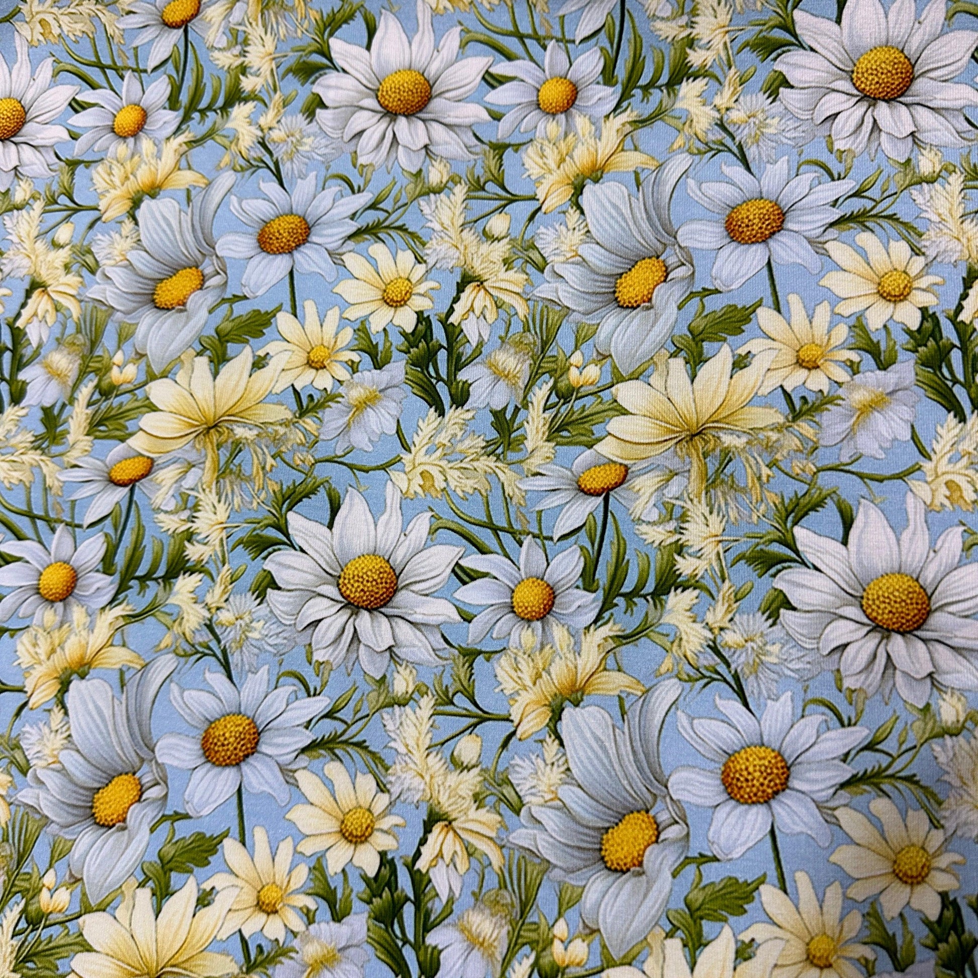 Daisies on Light Blue Organic Cotton/Spandex Jersey Fabric - Nature's Fabrics