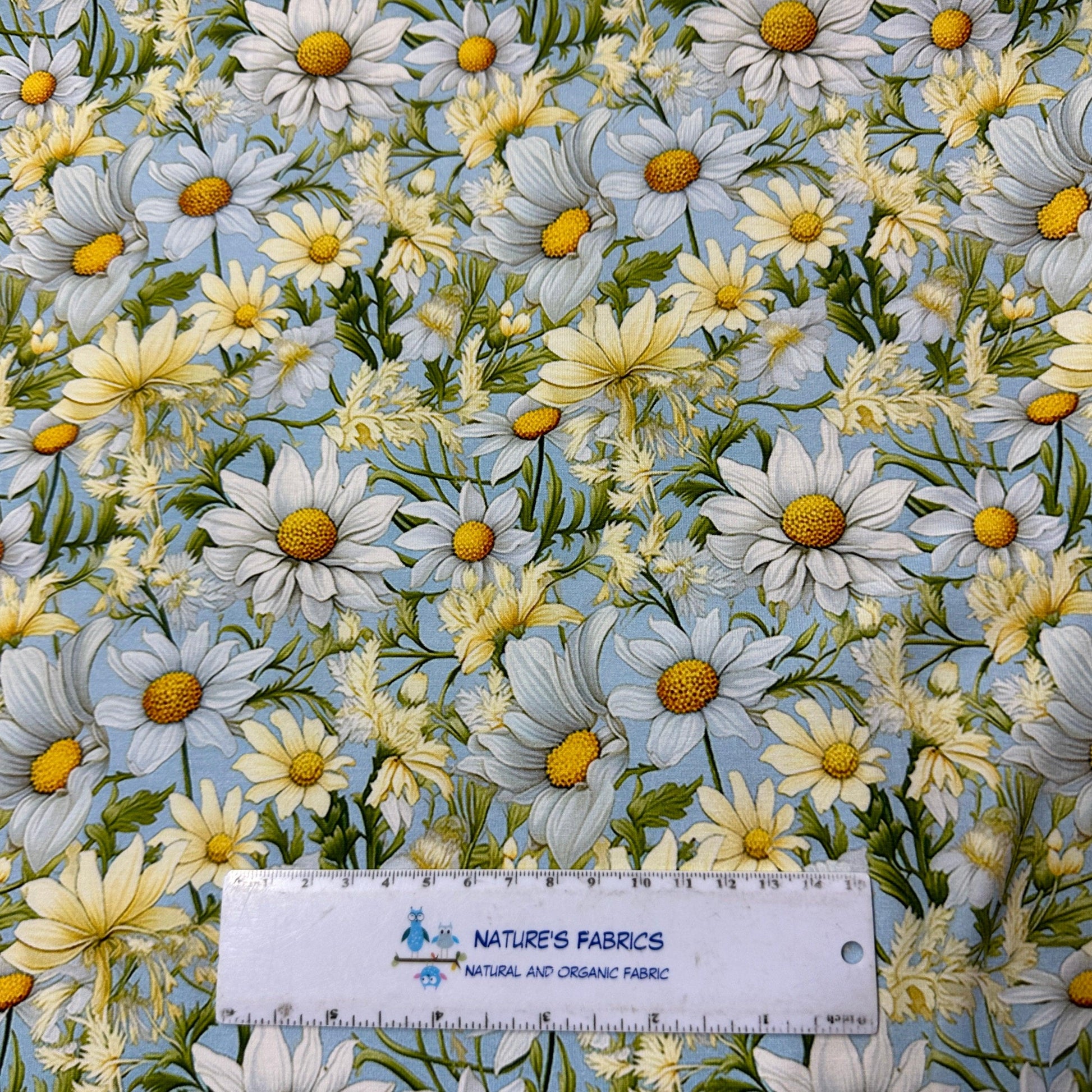 Daisies on Light Blue Organic Cotton/Spandex Jersey Fabric - Nature's Fabrics