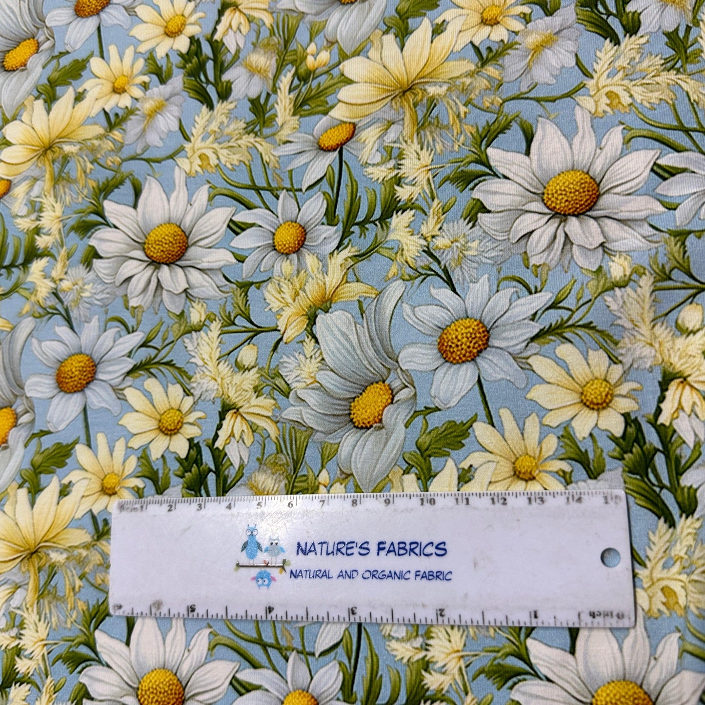 Daisies on Light Blue Organic Cotton/Spandex Jersey Fabric - Nature's Fabrics