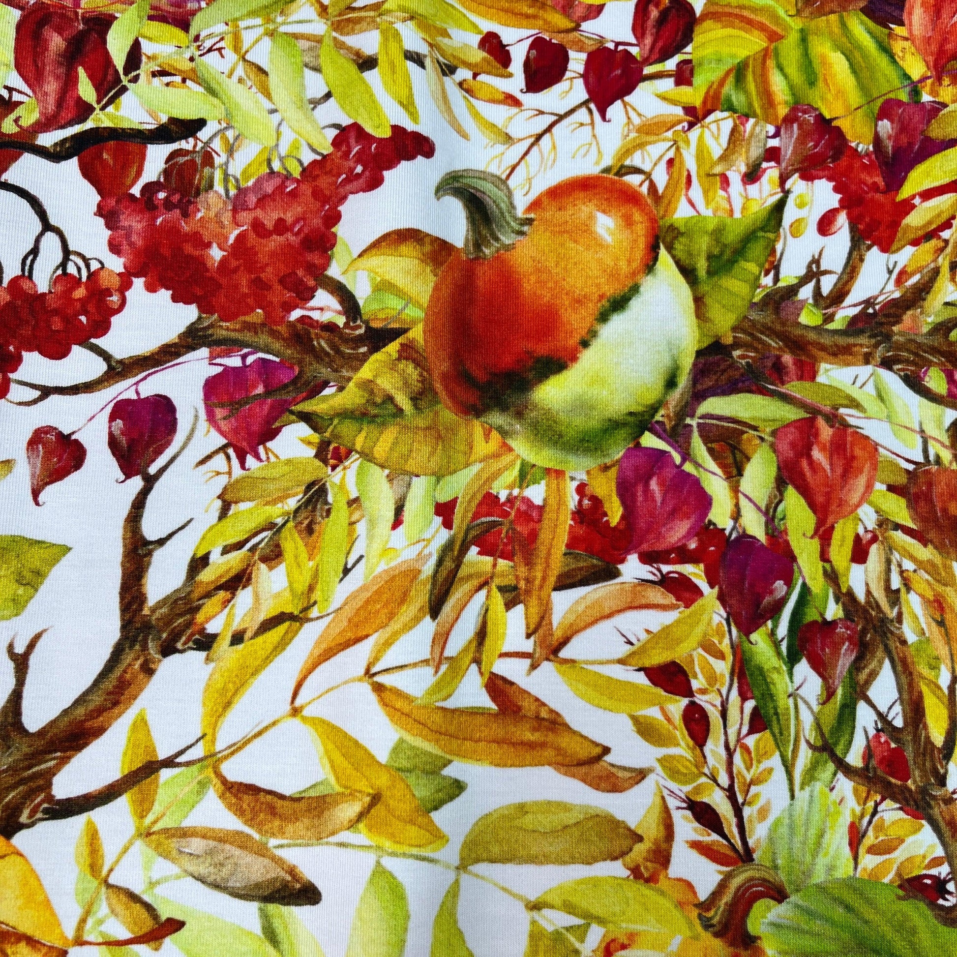 Fall Berries and Squash on Bamboo/Spandex Jersey Fabric - Nature's Fabrics