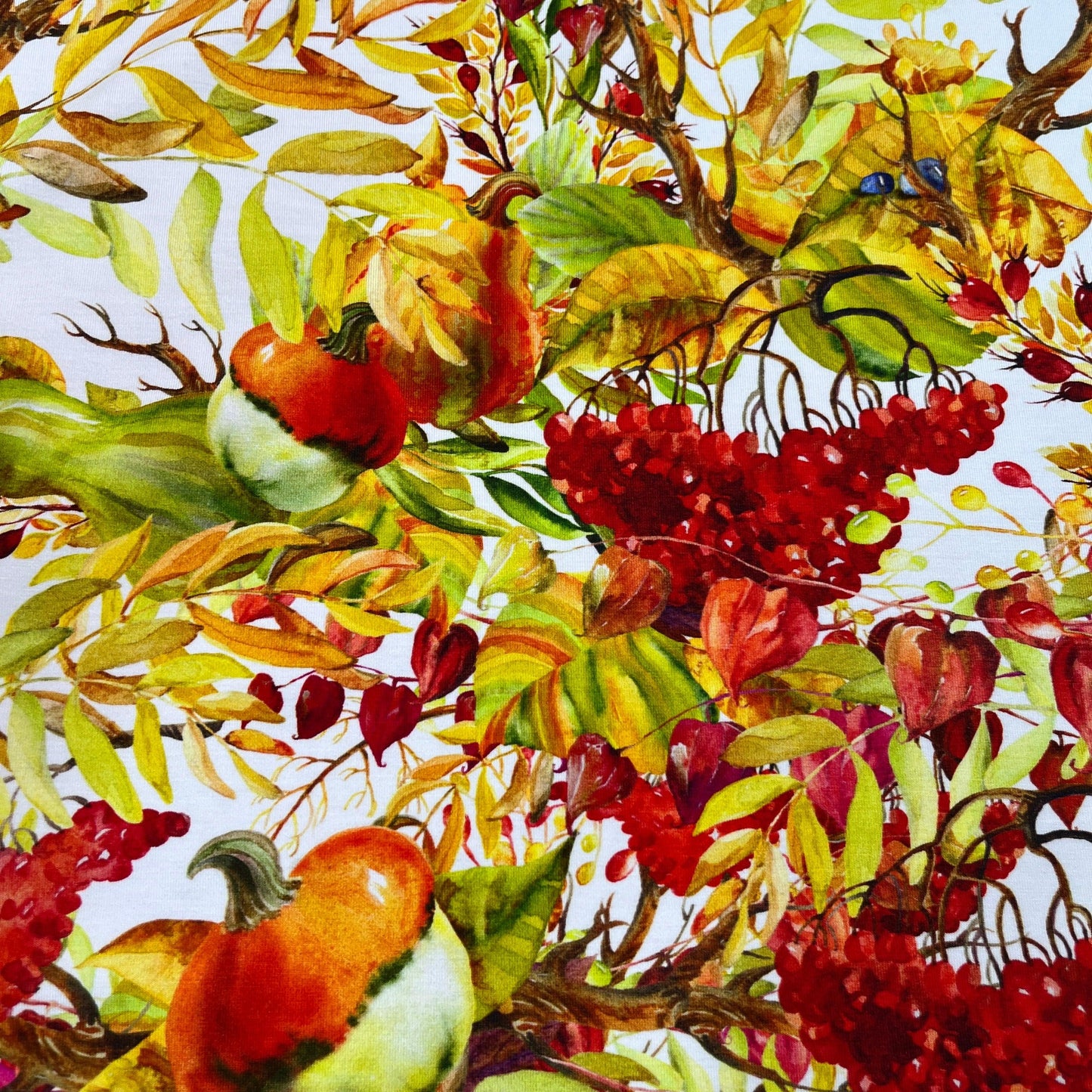 Fall Berries and Squash on Bamboo/Spandex Jersey Fabric - Nature's Fabrics