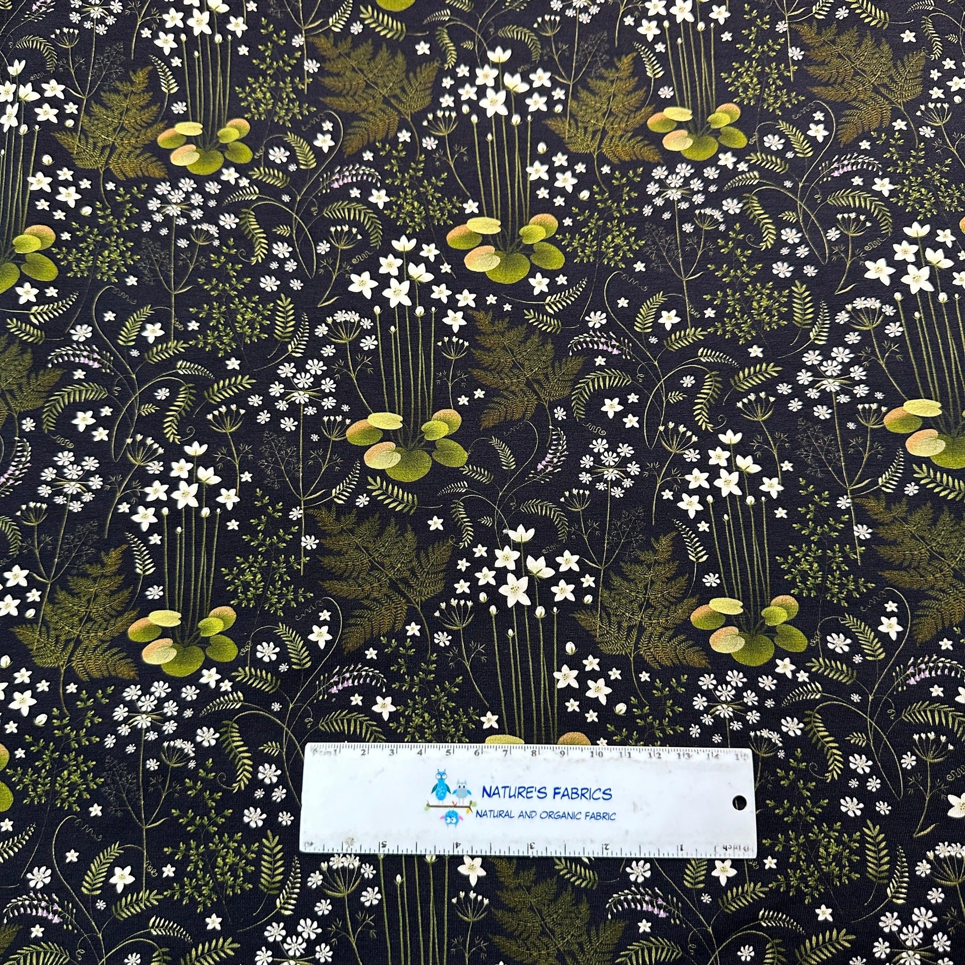 Ferns on Black Bamboo Stretch French Terry Fabric - Nature's Fabrics