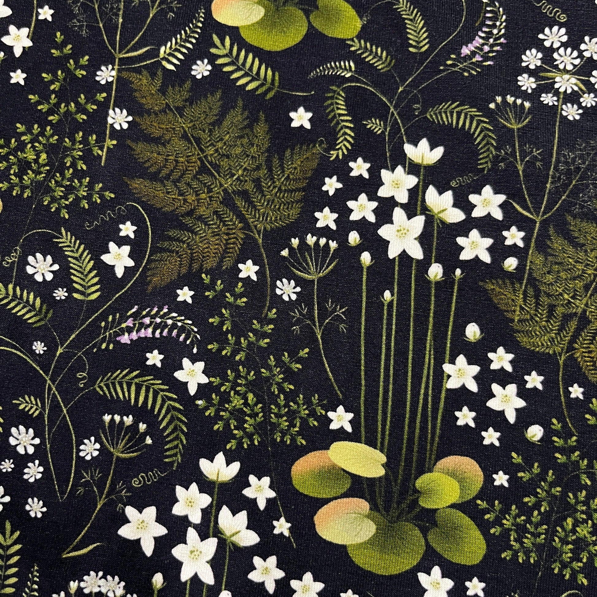 Ferns on Black Bamboo/Spandex Jersey Fabric - Nature's Fabrics