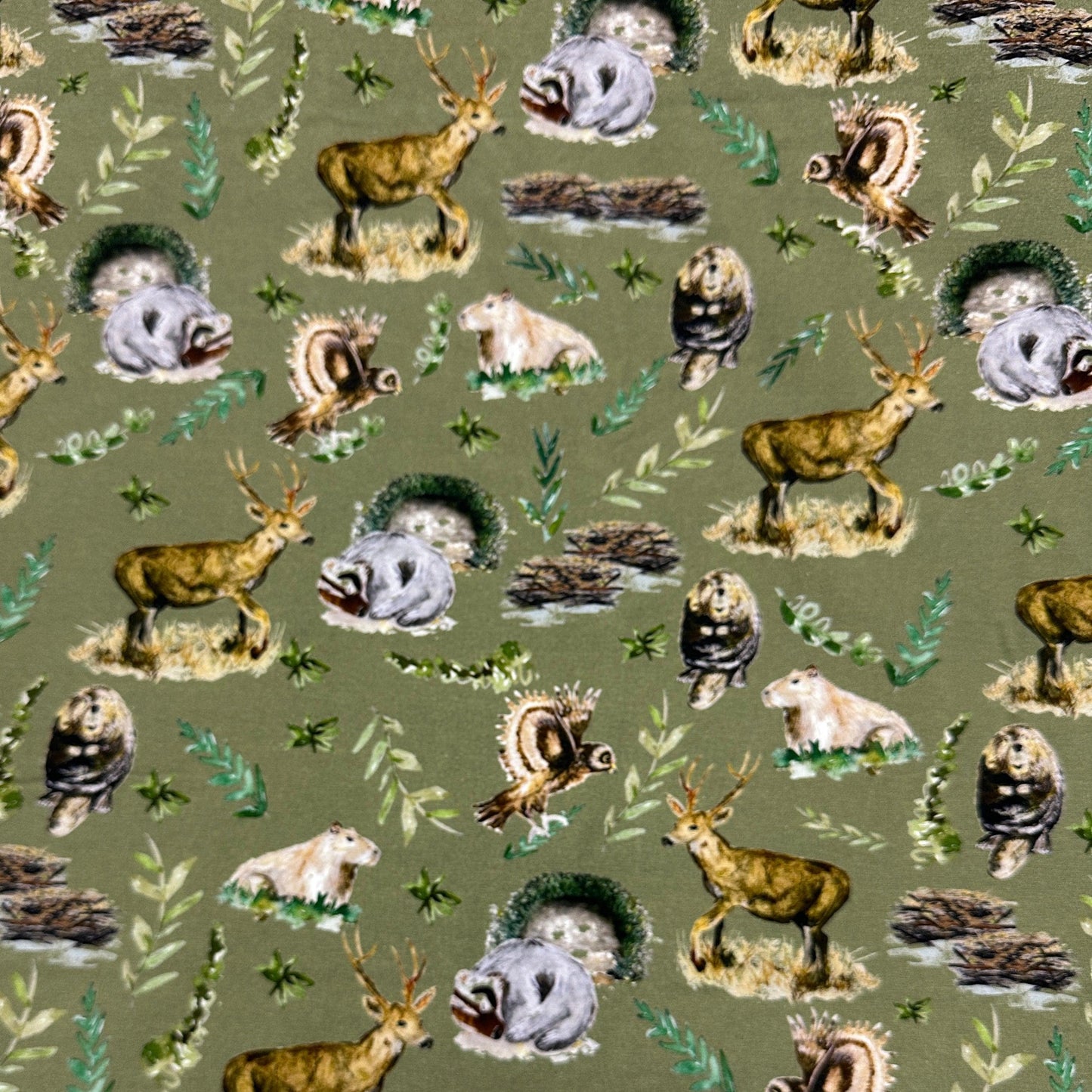 Forest Creatures on Cotton/Spandex Jersey Fabric - Nature's Fabrics