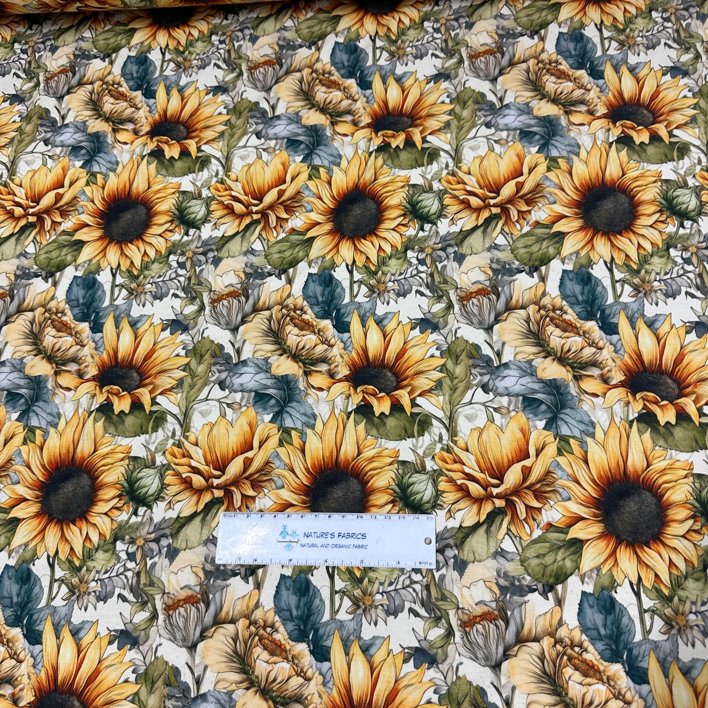 Sketched Sunflowers on Bamboo/Spandex Jersey Fabric - Nature's Fabrics