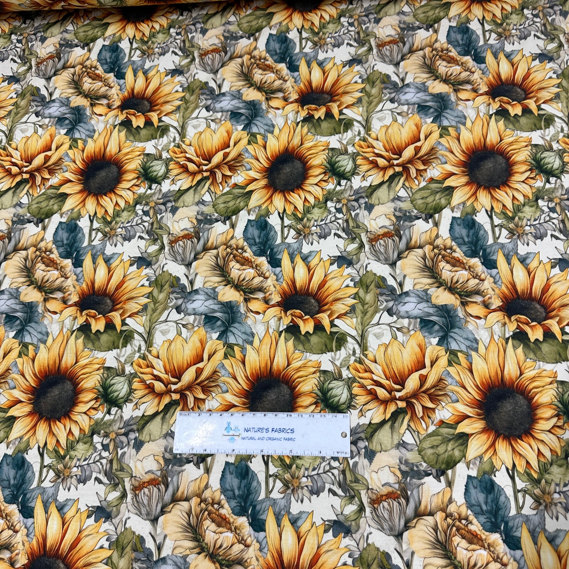 Sketched Sunflowers on Bamboo/Spandex Jersey Fabric - Nature's Fabrics