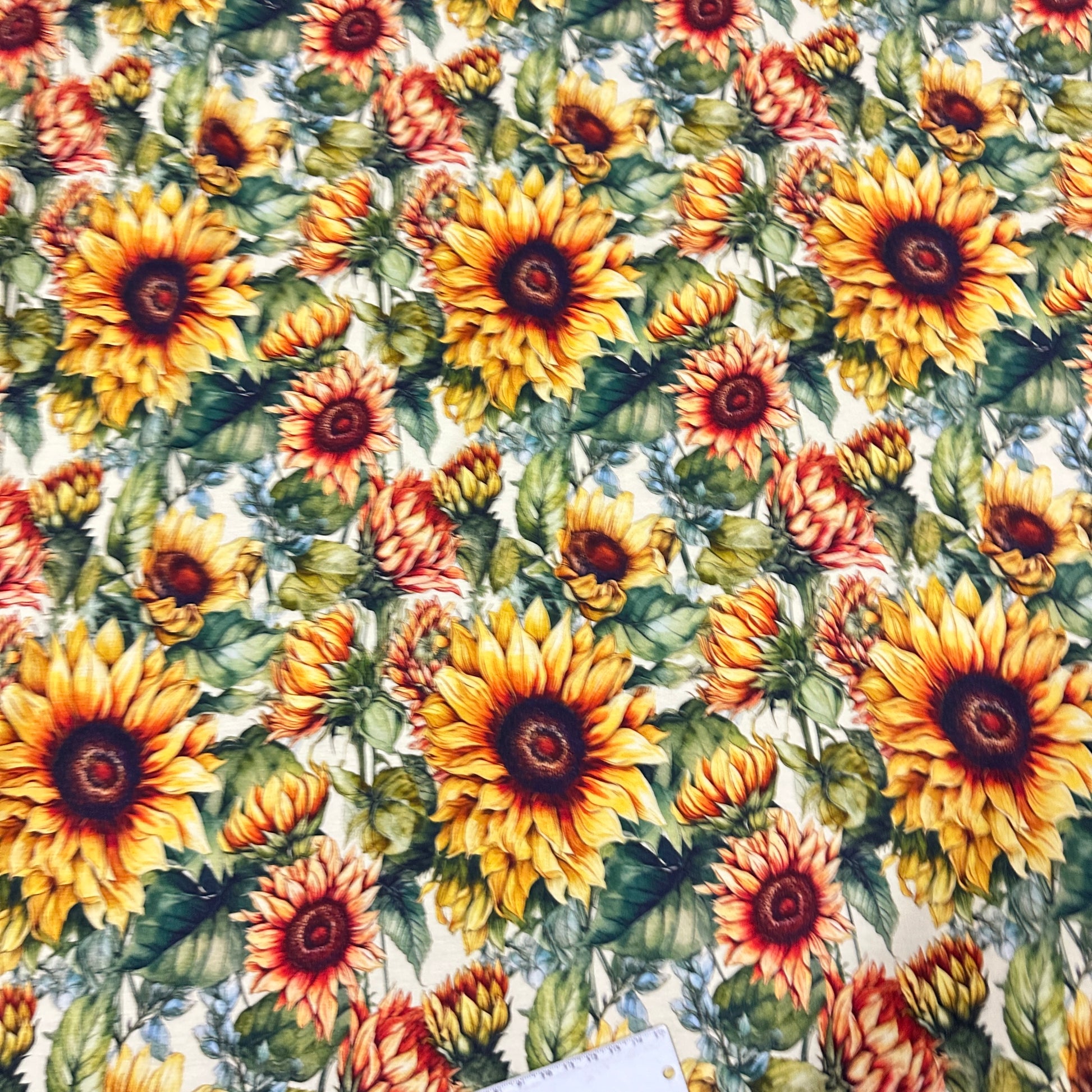Sunflowers on Cream Bamboo/Spandex Jersey Fabric - Nature's Fabrics