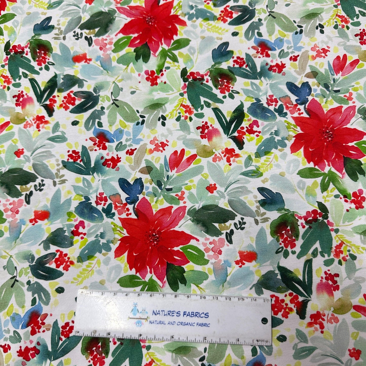 Watercolor Poinsettias on Bamboo Stretch French Terry Fabric - Nature's Fabrics
